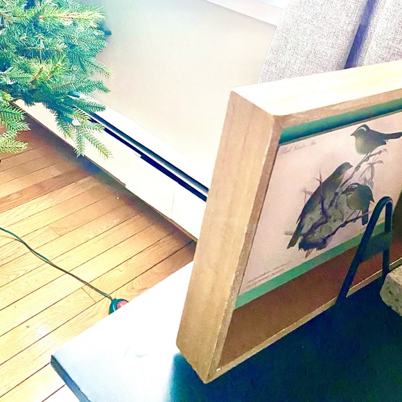 Vintage Style Framed Bird Art Illustrations Set, 2 Piece - Picture 6 of 12